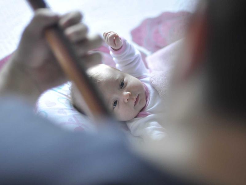 Vivort Aviluv En La Plata 3