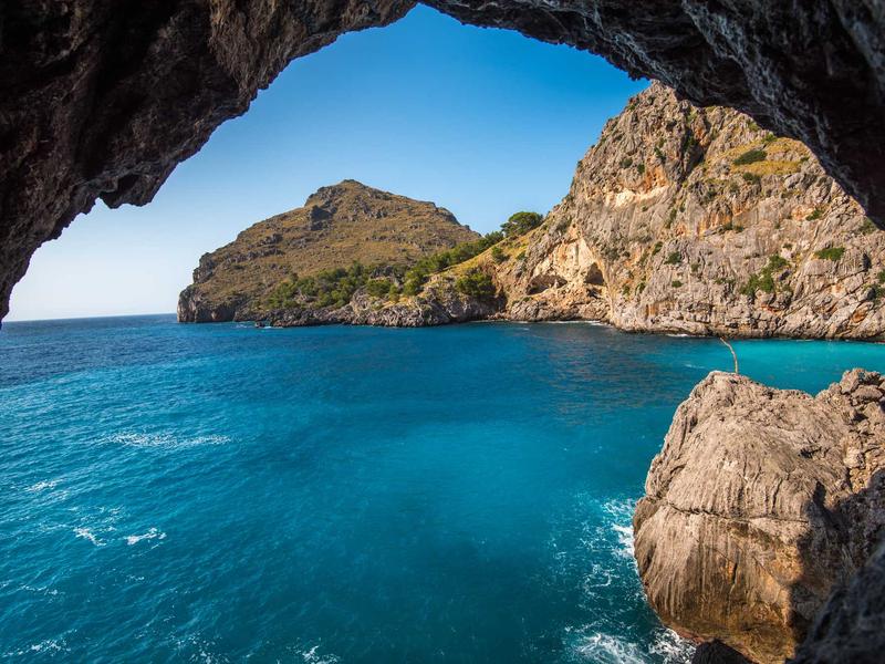 Vivort Aviluv En La Plata