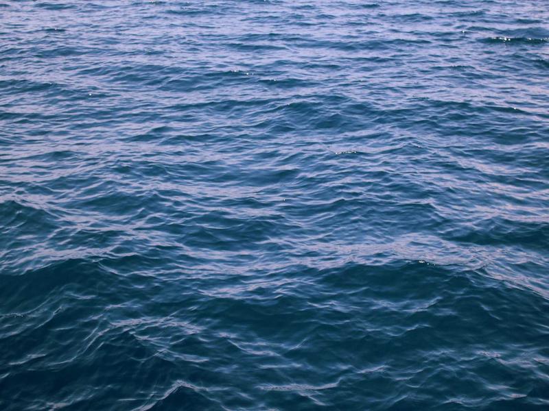 Vivort Aviluv En La Plata